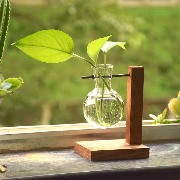 Plante Terrarium Transparent Med Træ Stativ Glas Vase Holder Kreativ Hydroponisk Træramme Style A