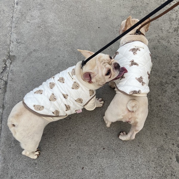 En björnväst husdjurskläder kattkläder, katter, hundkläder, fighting, hundväst pyjamas hus kropp 20cm