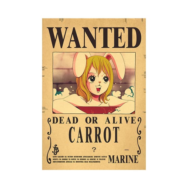 One Piece belöningsaffischer i kraftpapper, retro, 15 stycken