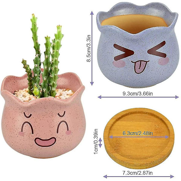 4 stk. keramiske sukkulentpotter, mini kaktuspotte, blomsterpottebeholder