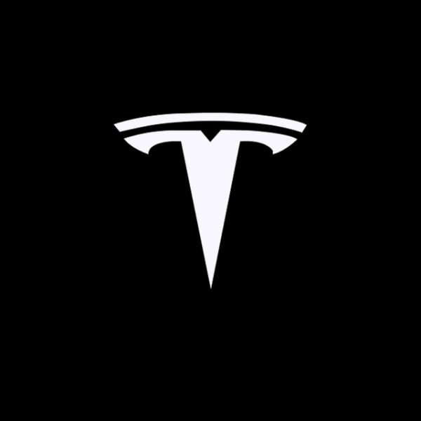 2 stk Tesla MODEL-S/3/X/Y dør laser projeksjonsgulvlampe full serie
