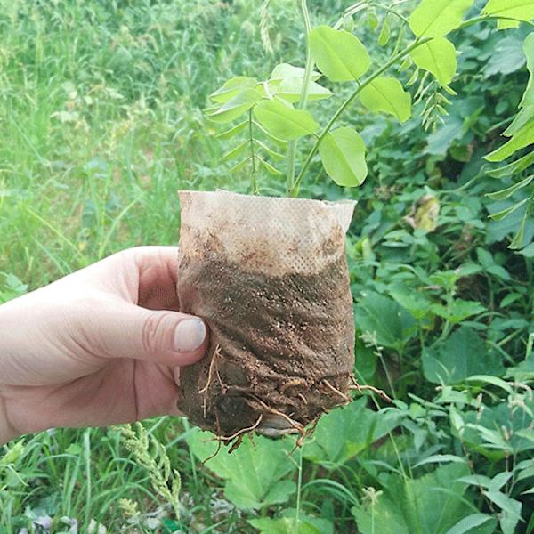 200 stk. plantepose frøplante planteskole ikke-vævede bionedbrydelige poser til have, 8 x 10 cm 8x10cm
