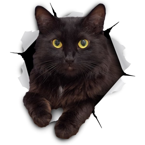 3D kattväggklistermärken - 2-pack 16,5*18cm roliga dekorativa klistermärken - fräcka svarta kattklistermärken för vägg - kylskåp - toalett - rum - bil