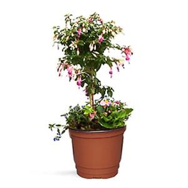 100 stk. 4\" Plastik Plantebørnehave Potte/potter Frøplanter Blomsterplantebeholder Frøstartpotter