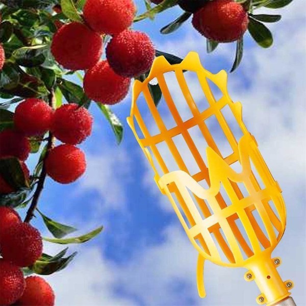 Havekurv Frugtplukkerhoved Plastfrugtplukkeværktøj Højtliggende frugtplukkerplukning Bayberry Loquat Tool