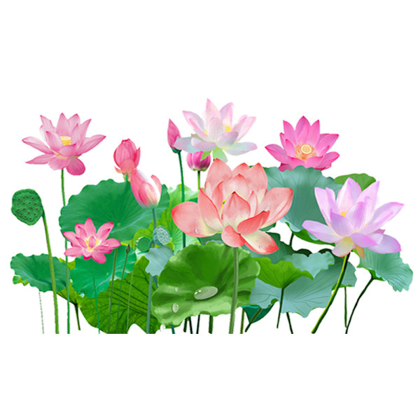 Nasturtium väggdekal vardagsrum sovrum dekoration målning stil 3