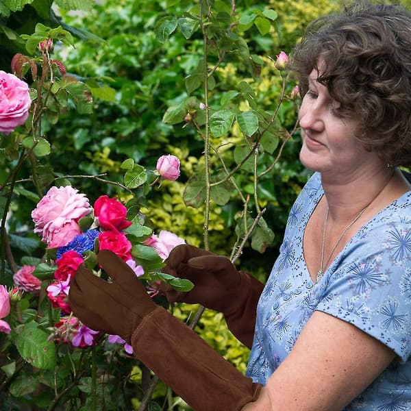 Rose Beskæringshandsker Til Mænd Og Kvinder, Læder Havehandsker L