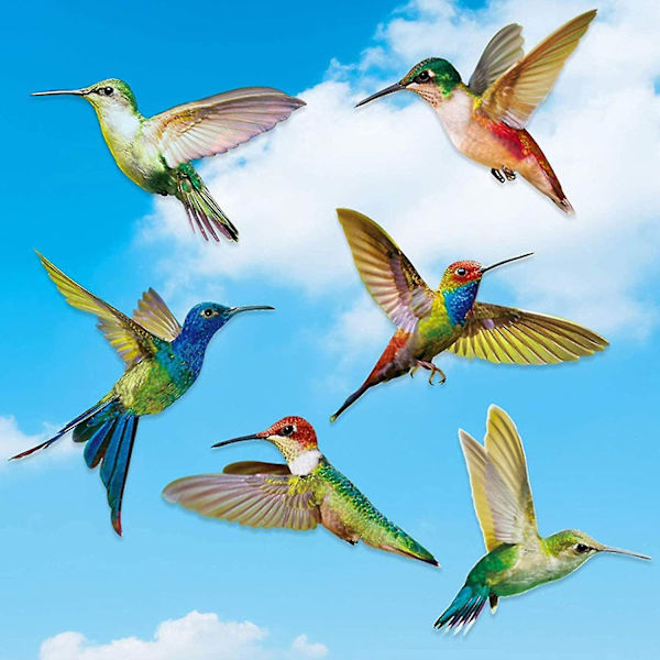 Anti-kollision fönsterdekaler 6 stycken kolibri fönsterdekaler fågel fönsterdekaler glasdekaler anti-kollision dekaler