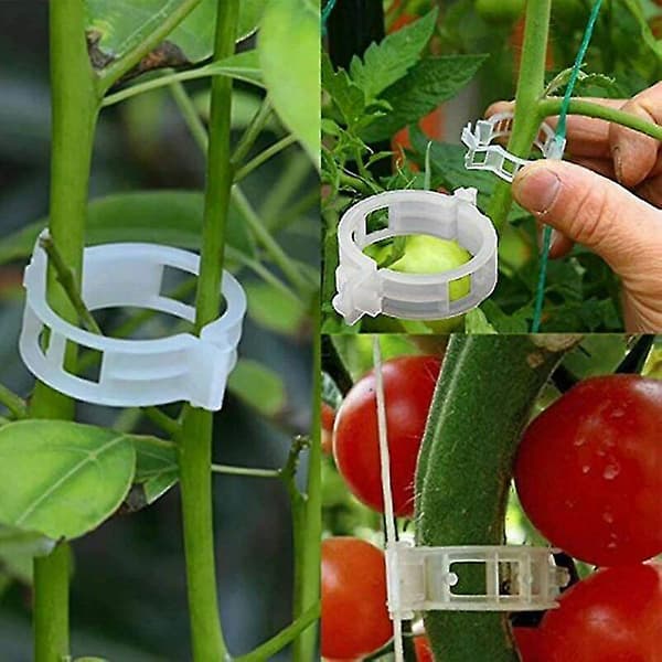 100 stk. planteclips, vinstokfikseringsclips