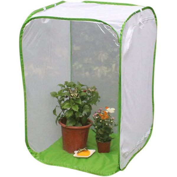 Hopfällbar insektshabitatbur, fröplanta, ljusgenomsläppligt nät, hopfällbar insektsnätbur för larver, fjärilsträdgård utomhus 60x60x90cm