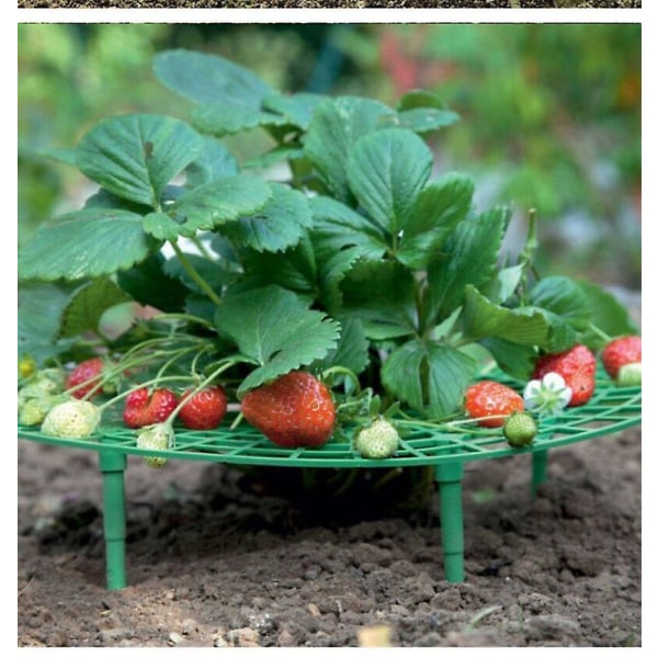 5pcs Strawberry Supports, Adjustable Strawberry Growing Racks Plant Climbing Rack Vine Pillar Garden Stand Balcony Vegetable Rack