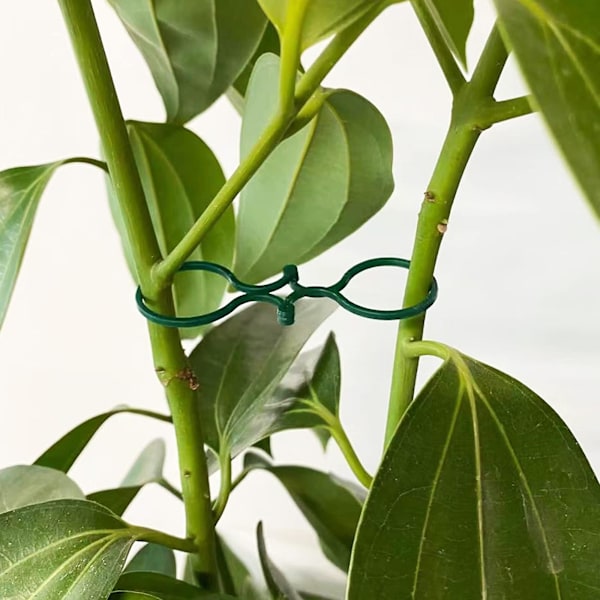 50 stk. Plastik Planteklips Planteringe Blomsterklips Til Støtte Plante