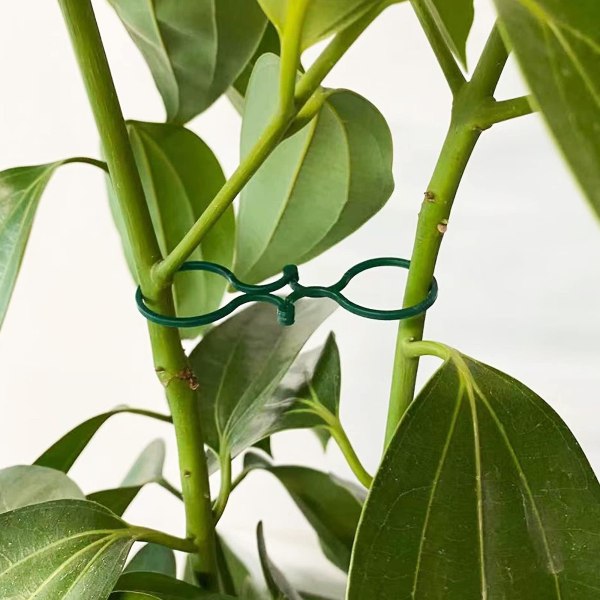 50 stk Plastklips for planter, hageklips for planter, hageklips for planter