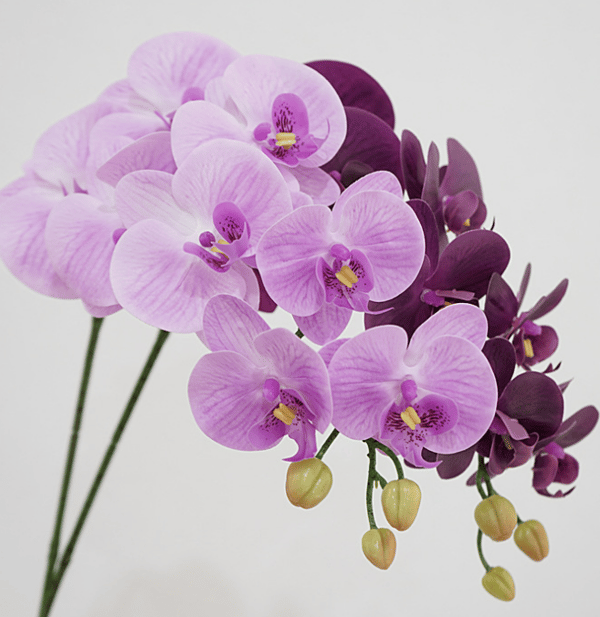 Simulering Phalaenopsis blomst, husmodell, romdekorasjon, blomsteroppsats, bryllupsdekorasjon, landskapsarbeid, kunstig plastblomst