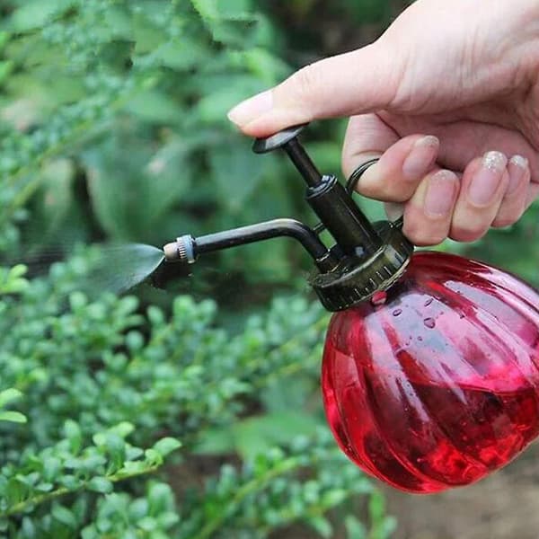 Vattenkanna Pumpa Glas Spruta Flaska för Växter, 250ml Red