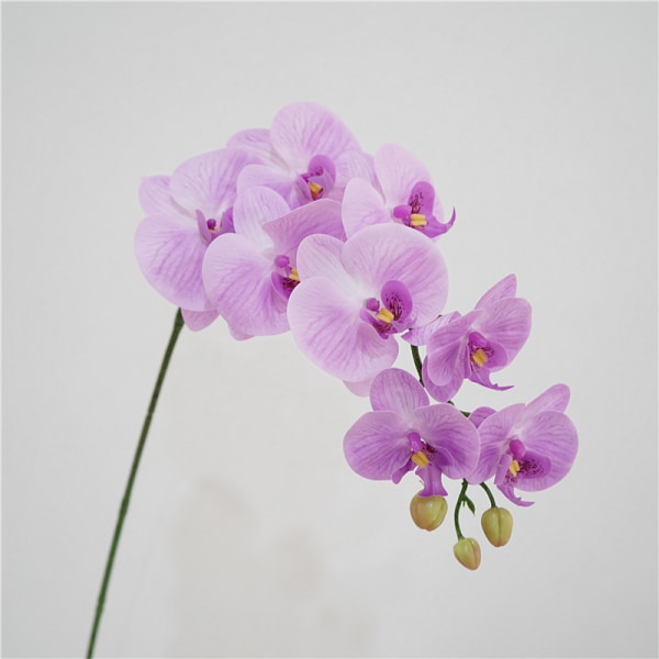Simulering Phalaenopsis blomst, husmodell, romdekorasjon, blomsteroppsats, bryllupsdekorasjon, landskapsarbeid, kunstig plastblomst