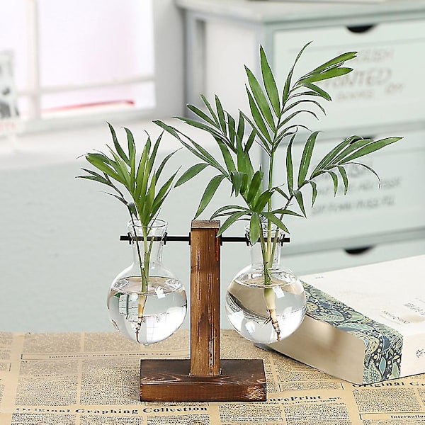Träram Glas Vas Planter Skrivbord Hydroponics Växt Bonsai Blomkruka Type C