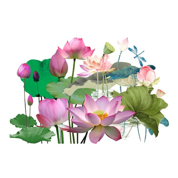 Väggdekal med nasturtium för vardagsrum och sovrum, dekoration i målarstil 4
