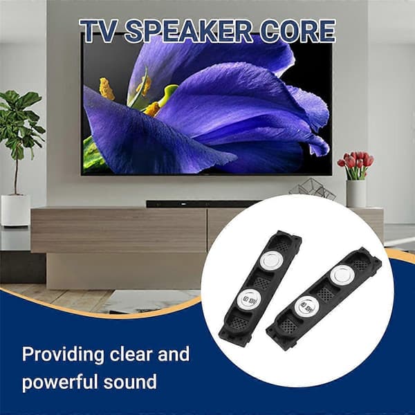 2 ST för TV-högtalare 6 Ohm 10W för 8518