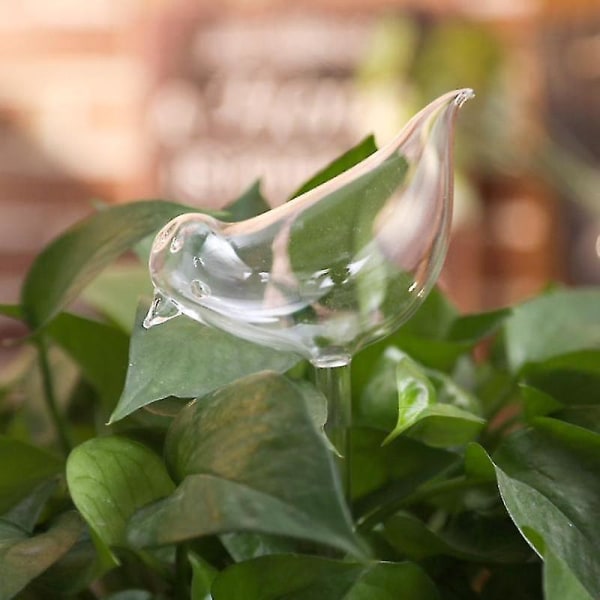 Blomster Vannmater Automatisk selvvanningsutstyr Fugler Form Husplanter Klart glass Vannmater Hage Vannbokser