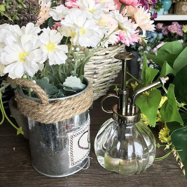 Vattenkanna Pumpa Glas Spruta Flaska för Växter, 250ml White