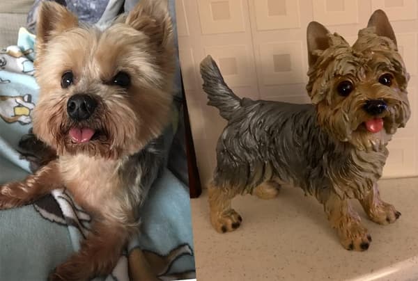 Yorkshire Terrier-statue - Hjemme- eller hagedekorasjon