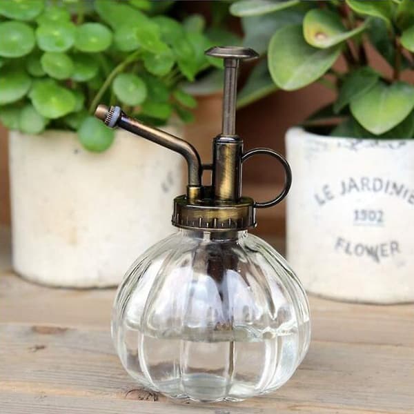 Vattenkanna Pumpa Glas Spruta Flaska för Växter, 250ml White