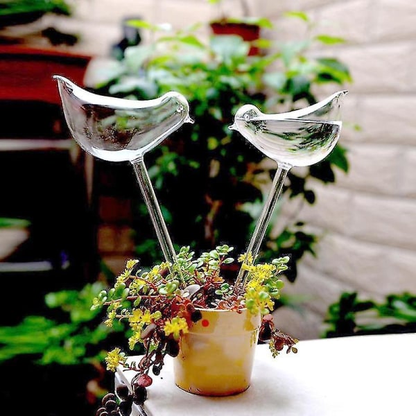 Blomster Vandføder Automatisk selvvandingsanordninger Fugleform Husplanter Klart glas Vandføder Havevandsdåser