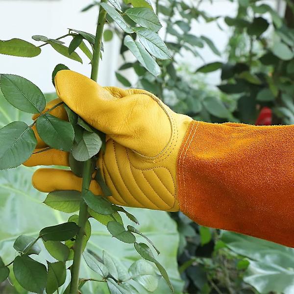Puutarhanhoitohanskat naisille/miehille Leikkaus- ja piikkikestävät ruusujen leikkaamiseen tarkoitetut naudannahkaiset suojakäsineet, erittäin kestävät M