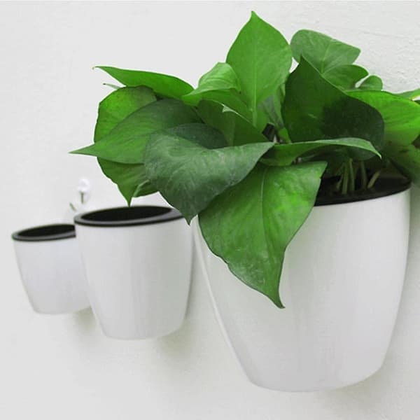 Modern design väggmonterad blomkruka rund form harts hydroponics klorofyll krukväxter krukor rea