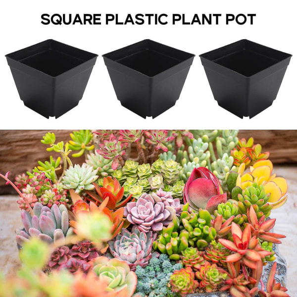 20-pack 4-tums svarta fyrkantiga plastkrukor, plantor för plantskola för plantering