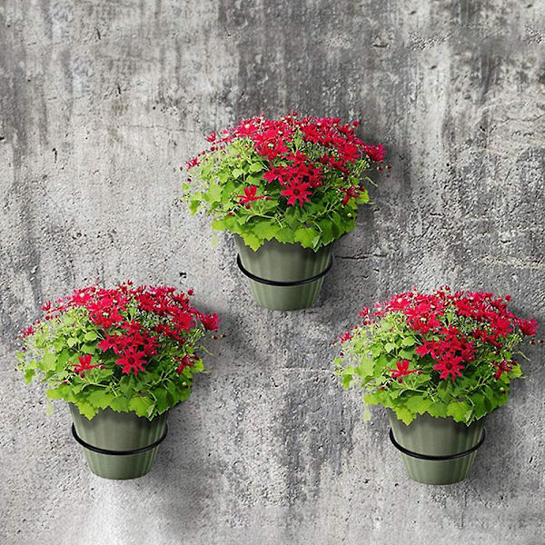 3 st blomkrukahållare väggmonterad växtkrukahållare ring 4 Inches