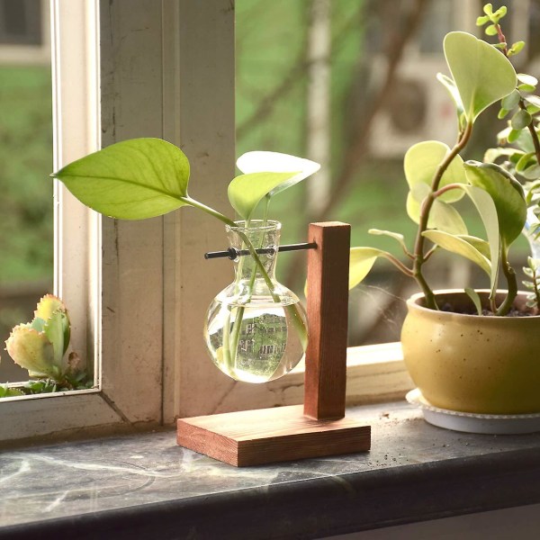 Plante Terrarium Transparent Med Træ Stativ Glas Vase Holder Kreativ Hydroponisk Træramme Style A