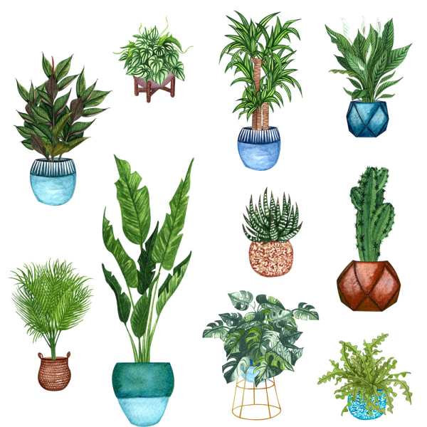 Grønne potte kaktus grønne blade selvklæbende vægskilt