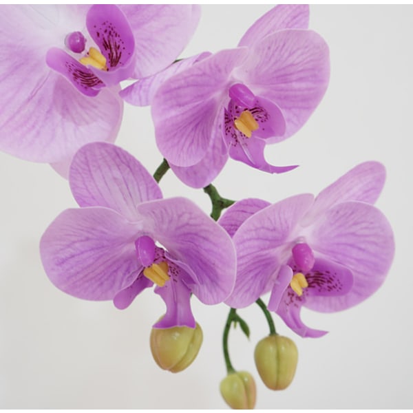 Simulering Phalaenopsis blomst, husmodell, romdekorasjon, blomsteroppsats, bryllupsdekorasjon, landskapsarbeid, kunstig plastblomst