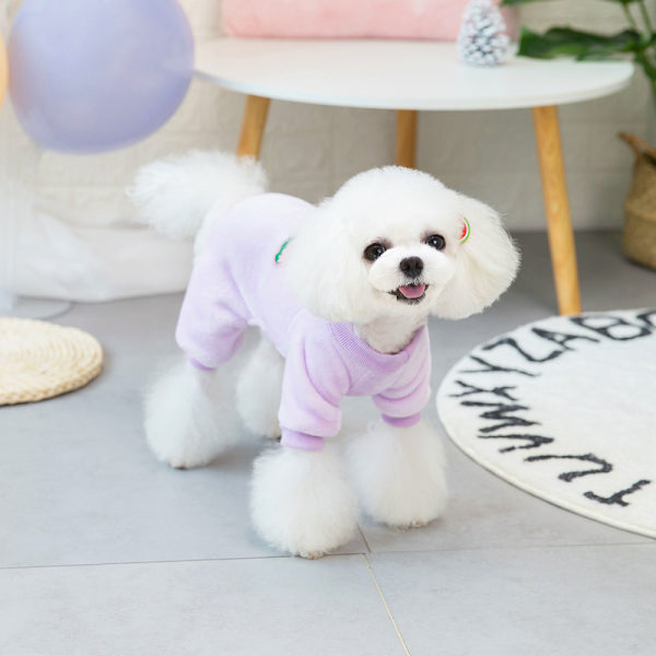 2 st Teddy små hundkläder frukt husdjur fyrbenta korallfleece hundkläder 25*37cm