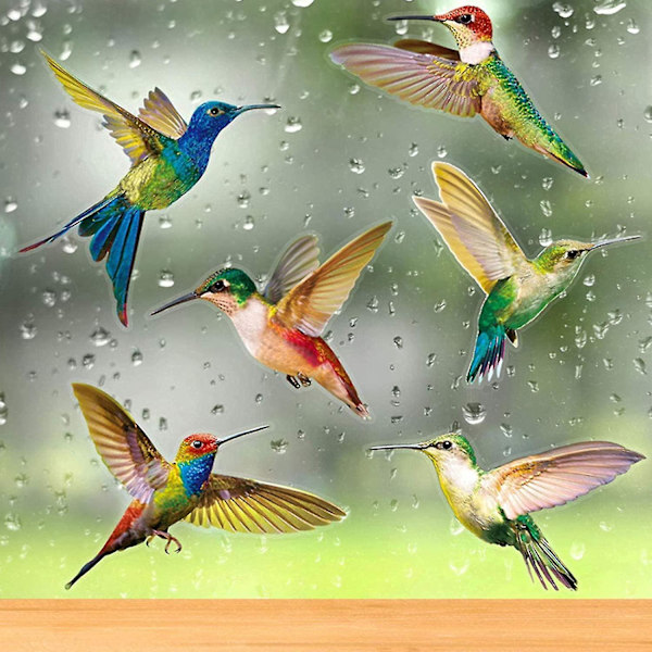 Anti-kollision fönsterdekaler 6 stycken kolibri fönsterdekaler fågel fönsterdekaler glasdekaler anti-kollision dekaler