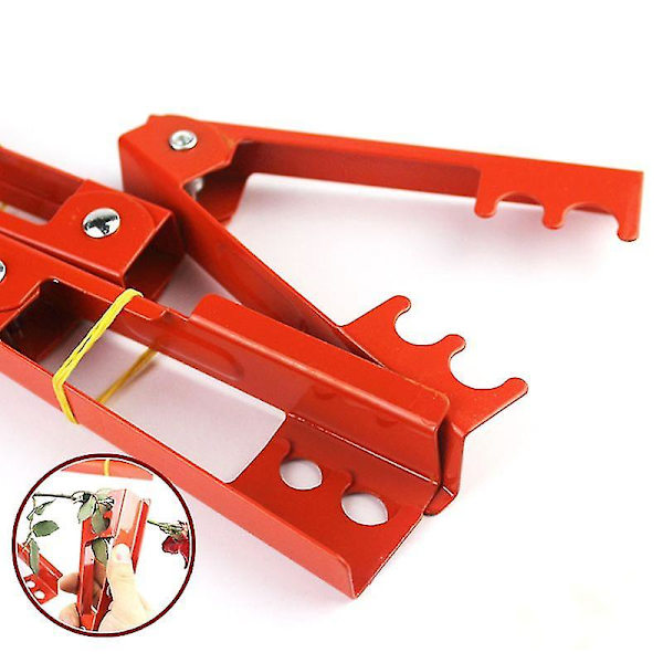 Diy-skæreværktøj Blomsterhandler Metal Beskærer Haveblomst Rose Torn Stamme Blad Stripper Rose Tang Fjernelse Grater Frugtplantage Haveværktøj