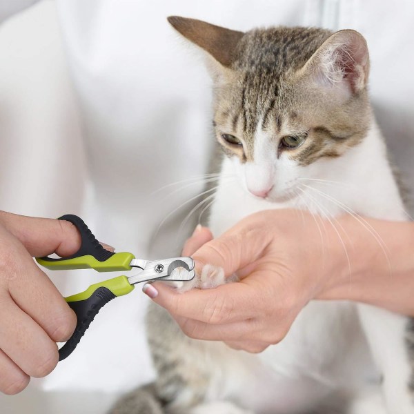 Katte Negleklipper Skarpe Rustfrit Stål Professionelle Negleklippere Til Kat, Lille Hund, Kanin