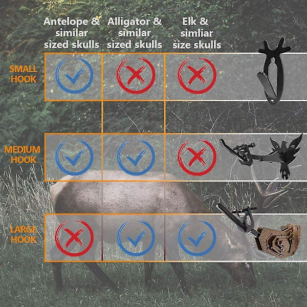 Eurooppalaistyylinen saalisluun pidike, kodinsisustus, seinäteline