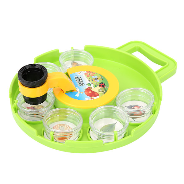Utomhus Science Insect Capture Observation Magnifier Box Container Viewer