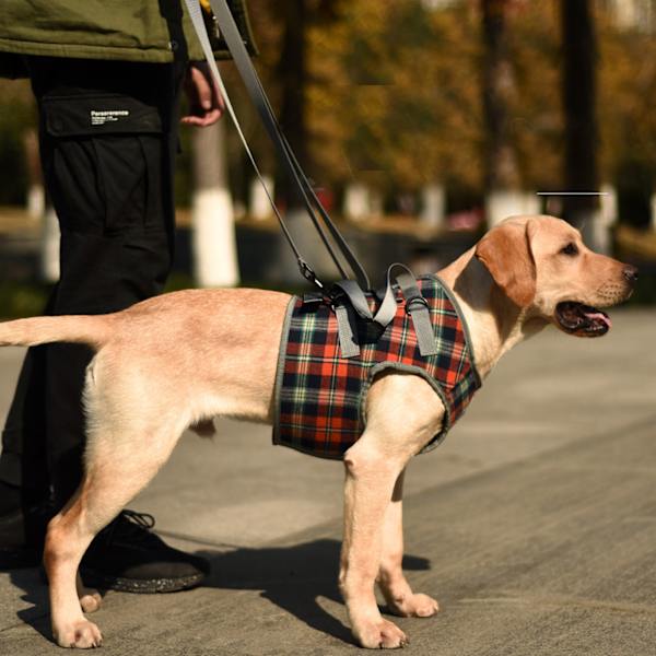 Håndfri Hundetov Justerbar Længde Multifunktionel Stærk Hundetræningsline til Handicappede, Skadede og Ældre Hunde Gratis Størrelse 2,5 cm x 2 m / 1,0 x 78,7 tommer