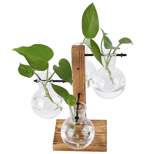 Innovativ hydroponisk vase med træstativ Transparent skrivebordsvase til hjemmet