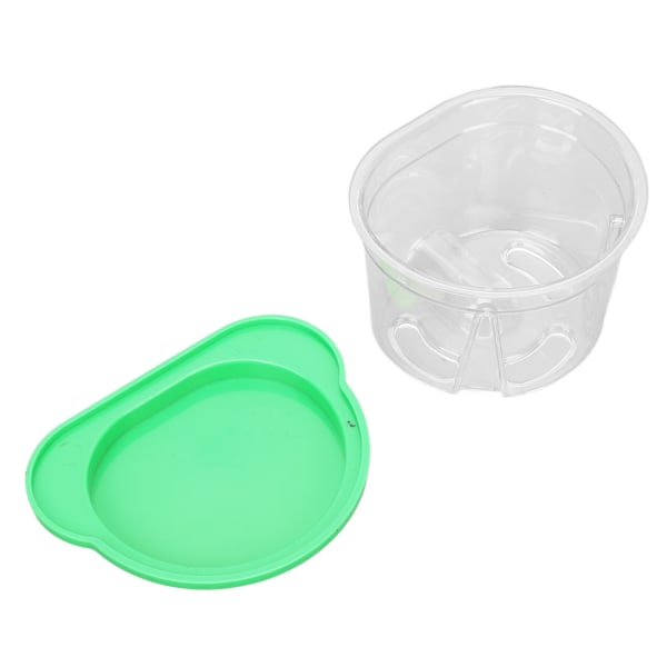 Dental Plastic Agar Box Kompakt plast Agar Replikasjonsmodell Box for Protesmodeller