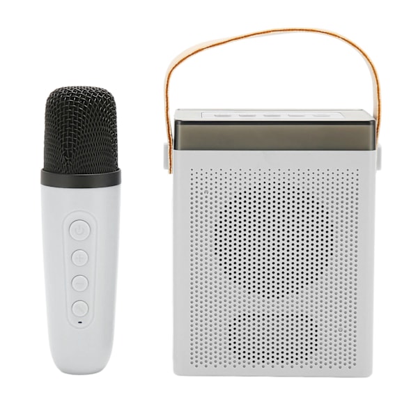 Karaoke-laite monitoiminen RGB-valaistus Kannettava Bluetooth-kaiutin 2 langattomalla mikrofonilla aikuisille ja lapsille Valkoinen