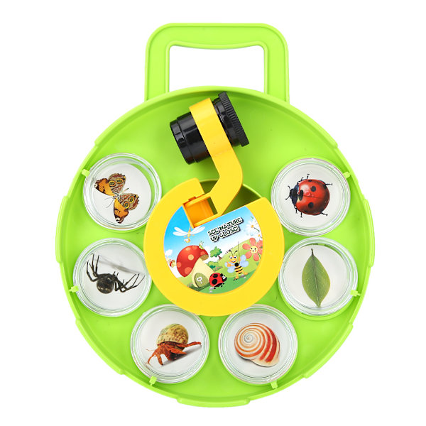 Utomhus Science Insect Capture Observation Magnifier Box Container Viewer
