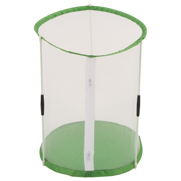 Sylindrisk sommerfugl- og insektsobservasjonsbur Transparent nettinghabitatbur for prydplanter