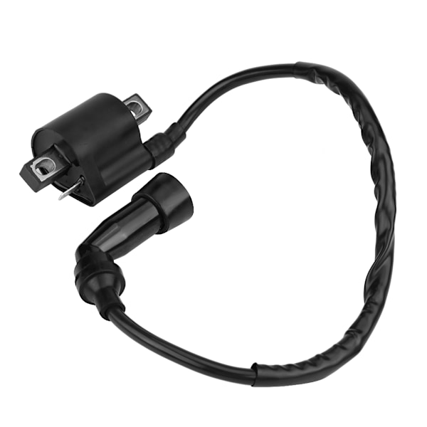 Motorcykel Tændspolen til Yamaha Bear Tracker 250 ATV 1999 2000 2001 2002 2003 2004 Sort
