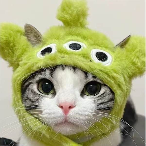 Kattehat med Sød Design, Justerbar, Blød, Behagelig, Polyester, Bærbar, Kæledyr, Kat, Hund, Hovedbeklædning, 3 Øjne