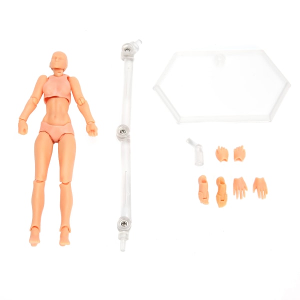 PVC-kunstnere Action Figur Model Mennesketegning Model Kvinde Mannequin DekorationPrimærfarve